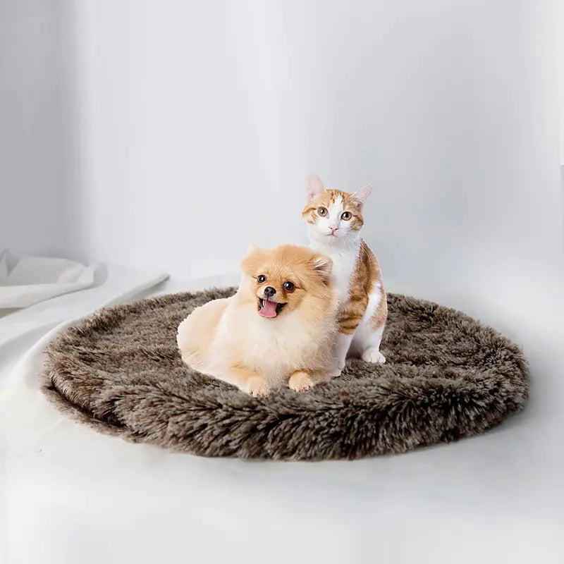 Round Blanket Sleeping Mat for Pets - Johns Pet Store
