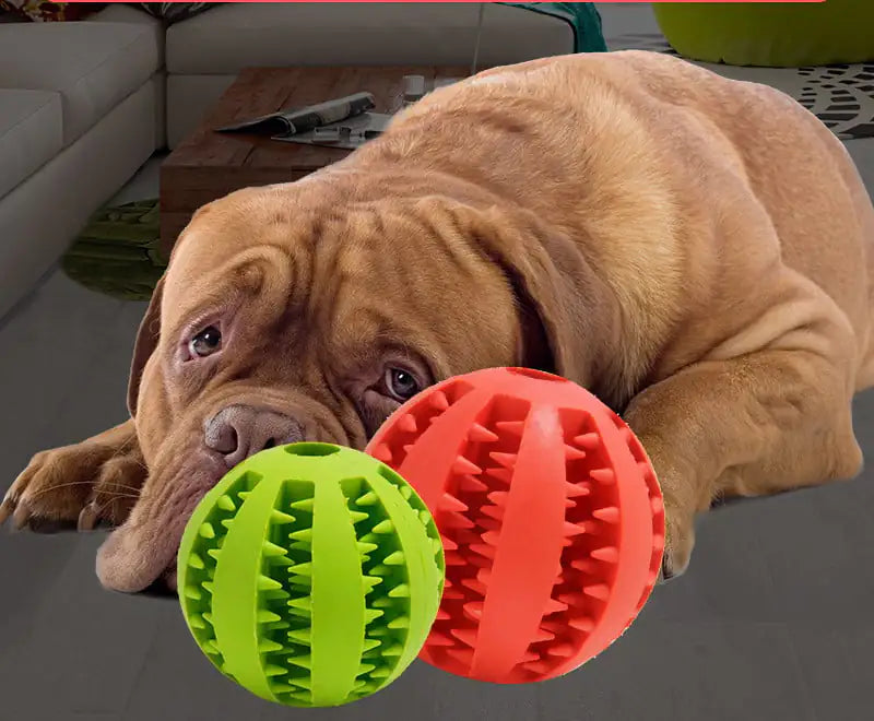 Bite-Resistant Molar Stick for Dogs and Puppies - Johns Pet Store