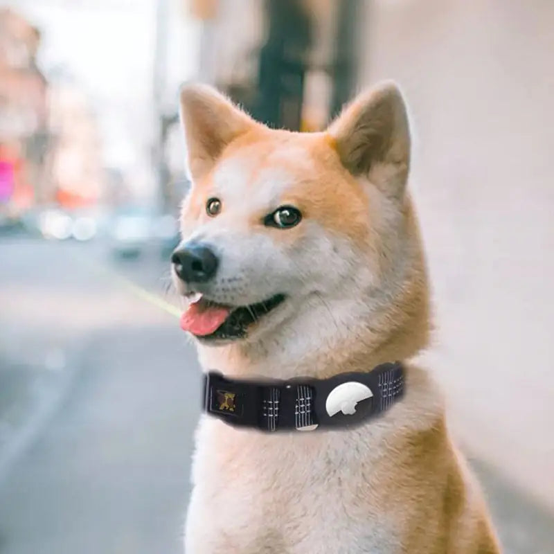 Mobile Phone Tracker Protector for Pet Products - Johns Pet Store