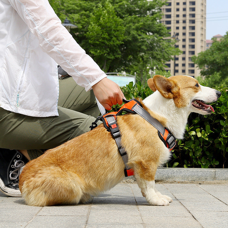 Dog Hand Holding Rope Vest Dog Chest Strap - Johns Pet Store
