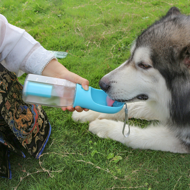 Portable Cat Dog Water Bottle - Johns Pet Store