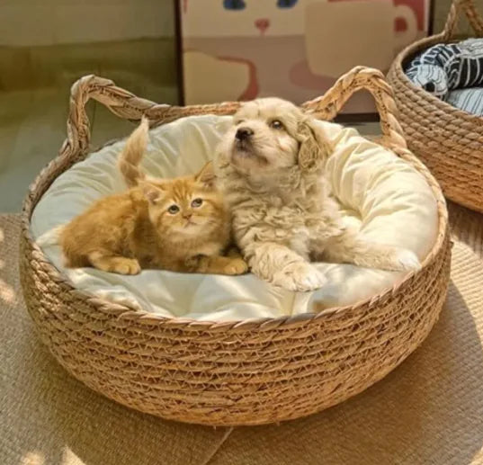 Handmade Pet House comfort basket - Johns Pet Store