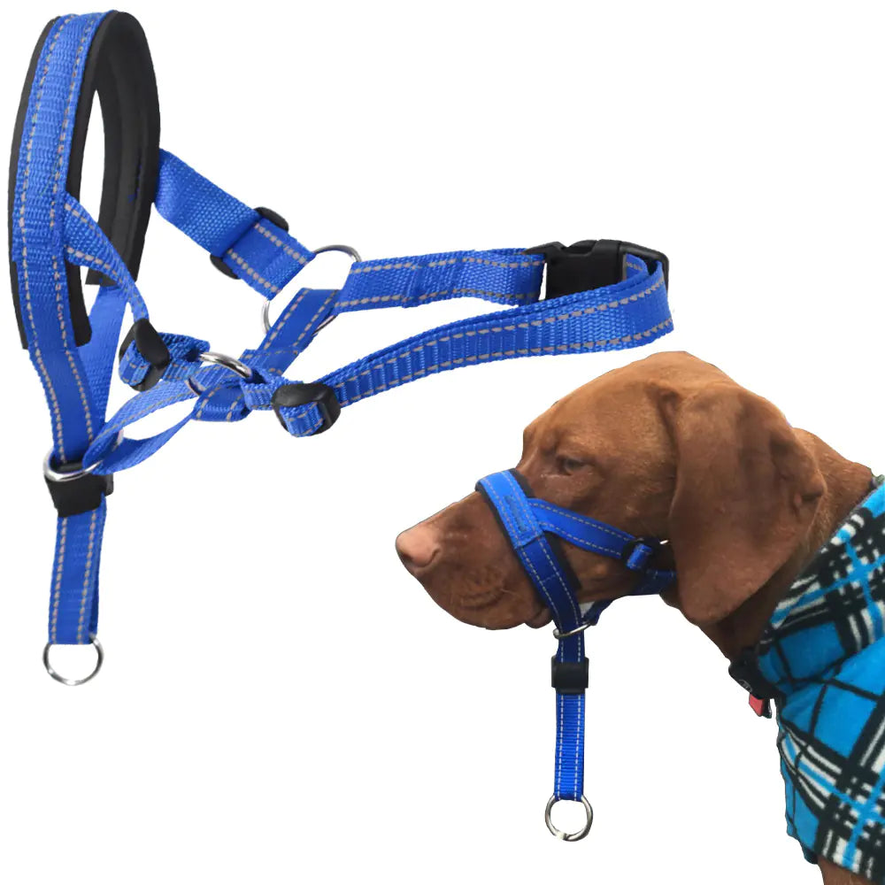 Anti-Barking Nylon Muzzle for Pets - Johns Pet Store
