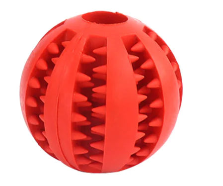 Bite-Resistant Molar Stick for Dogs and Puppies - Johns Pet Store