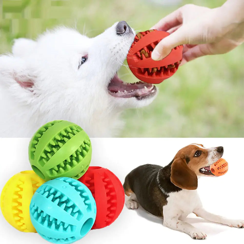 Interactive Pets Rubber Balls - Johns Pet Store