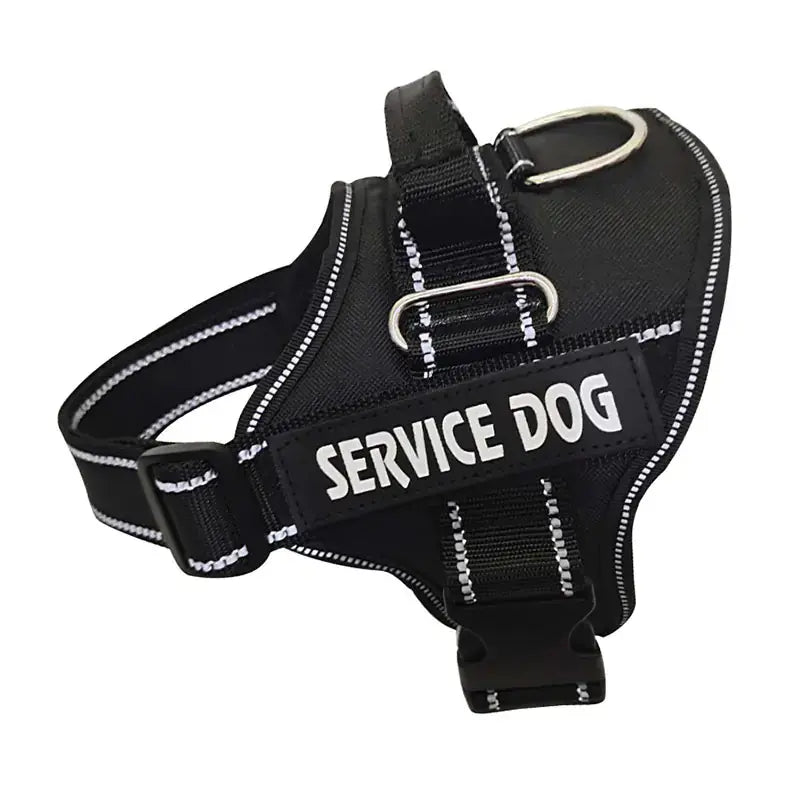 Personalized Pet Chest Strap Products - Johns Pet Store