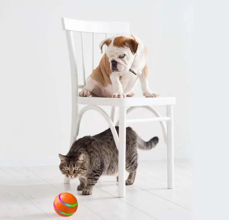Pet New Wicked Ball Toy - Johns Pet Store