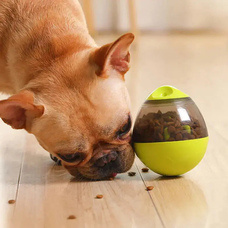 Pets IQ Treat Toys - Johns Pet Store