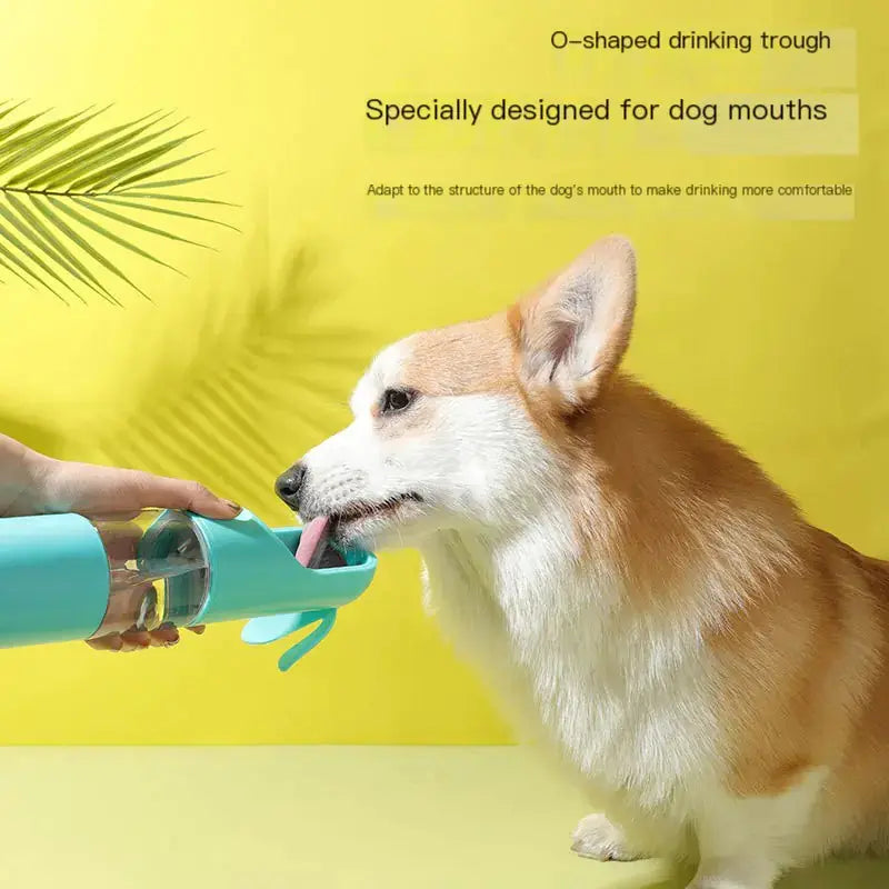 Portable Outdoor Dog Water Bottle for Pets - Johns Pet Store