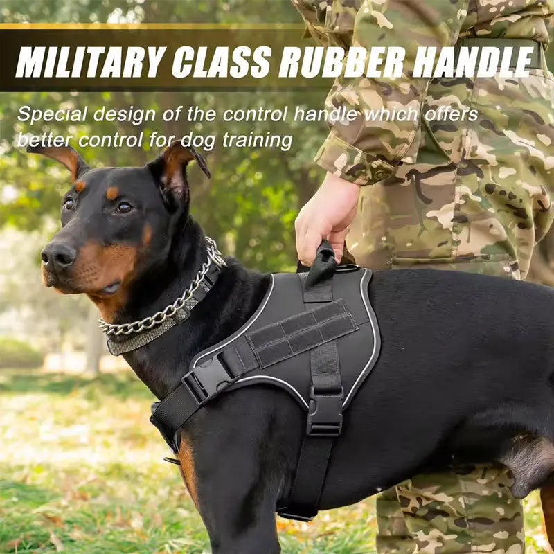 Black Doberman wearing tactical dog vest with soldier holding rubber handle for training outdoors