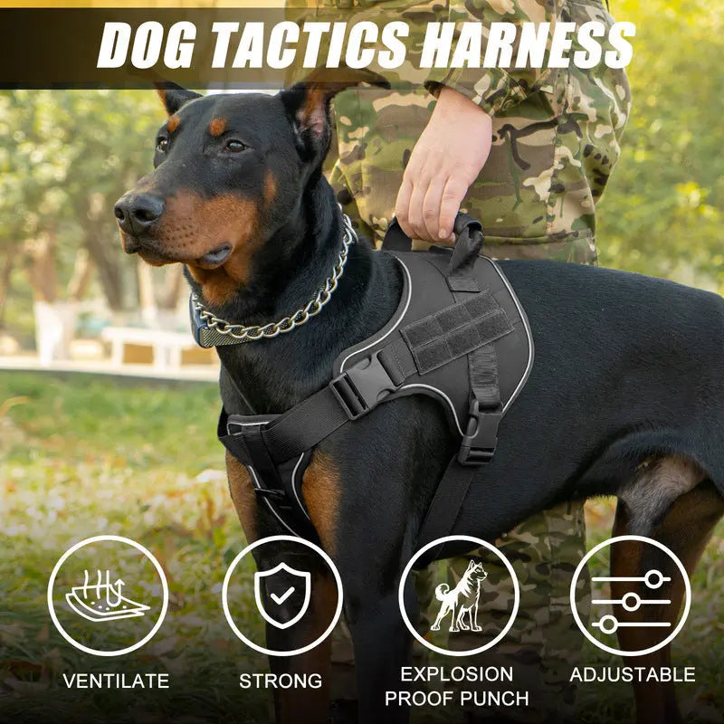 Tactical dog vest on large Doberman with military-style harness, adjustable and strong with ventilation.
