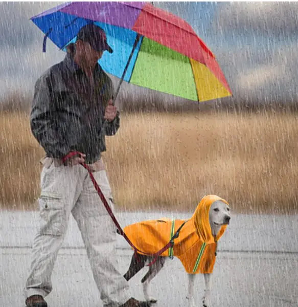 Pets Rain Coat - Johns Pet Store