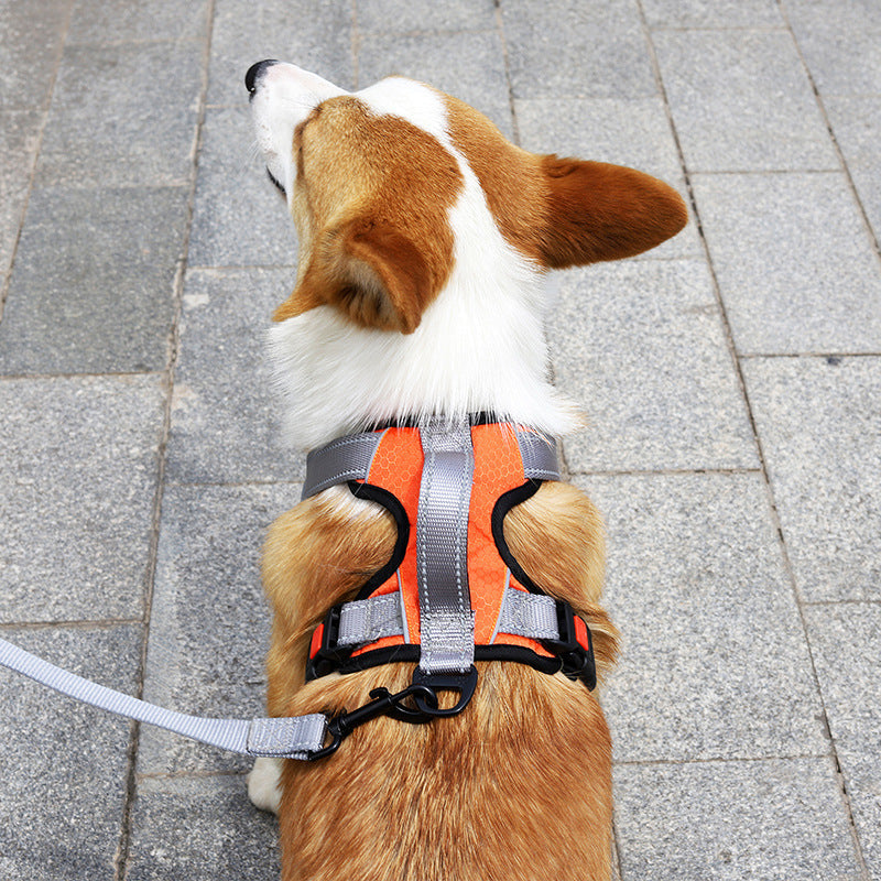 Dog Hand Holding Rope Vest Dog Chest Strap - Johns Pet Store