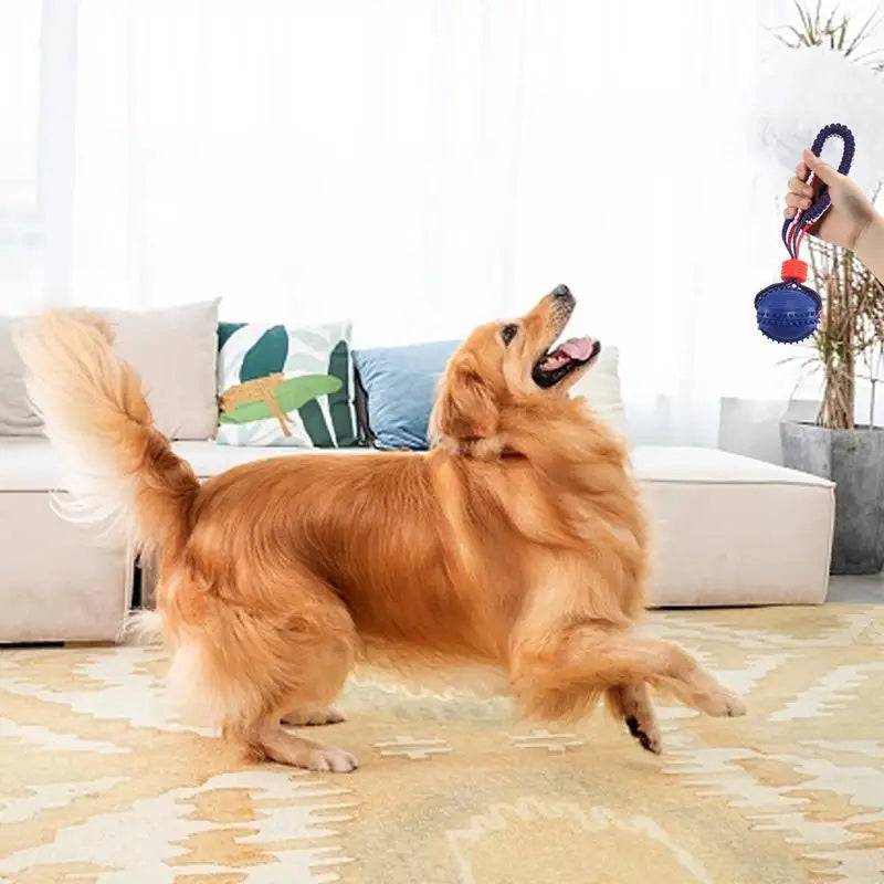 Dog Toy Ball Interactive Teether With Rope - Johns Pet Store