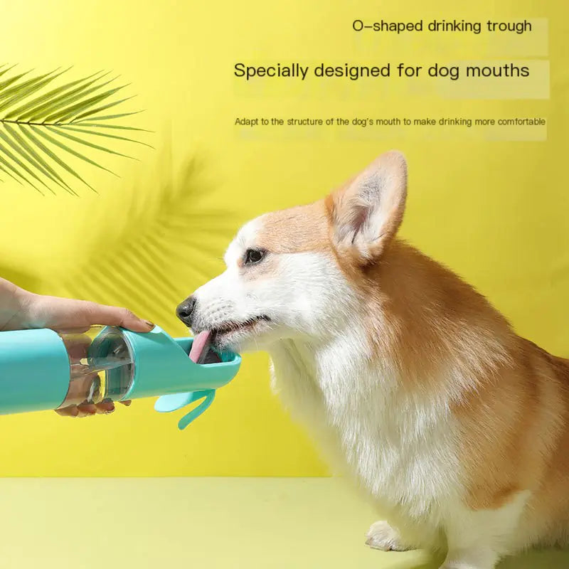 Portable Outdoor Dog Water Bottle for Pets - Johns Pet Store