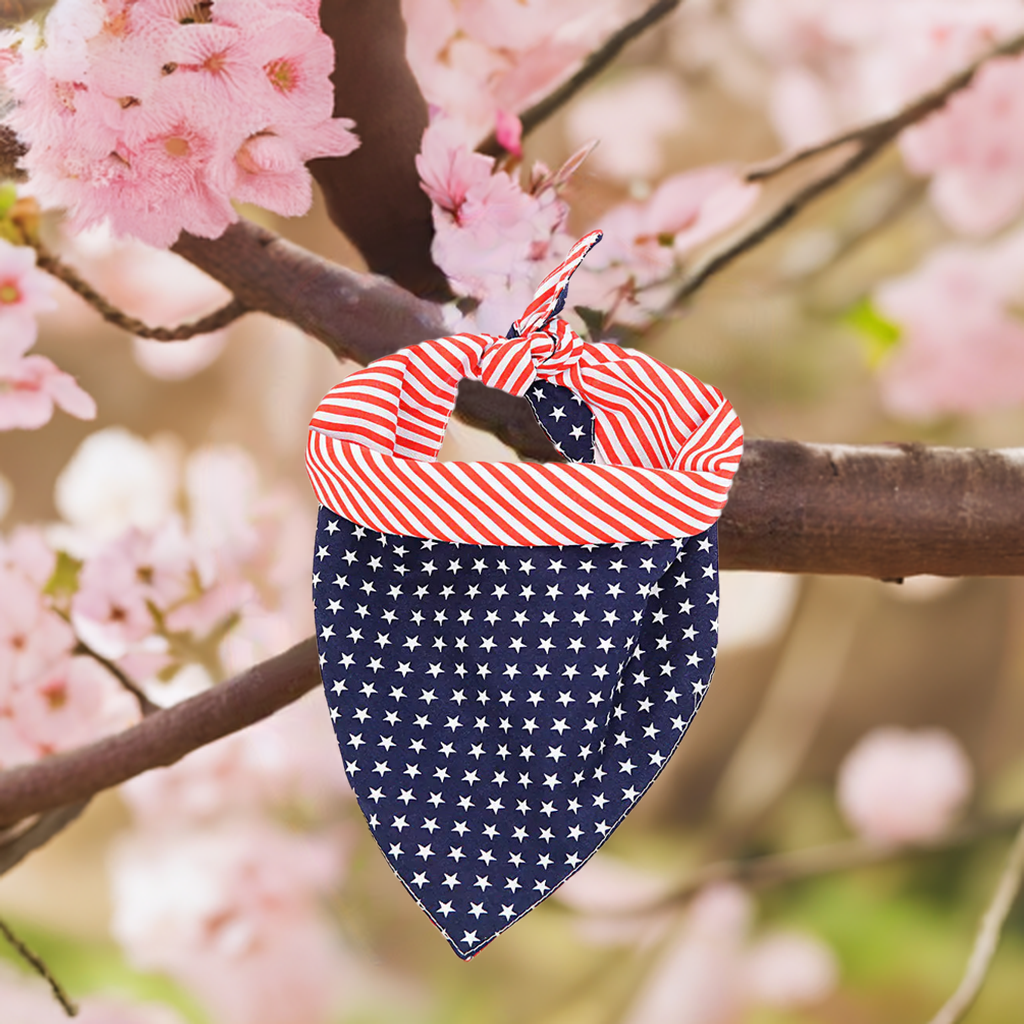 Triangle Scarf Headband Jewelry for Pets - Johns Pet Store