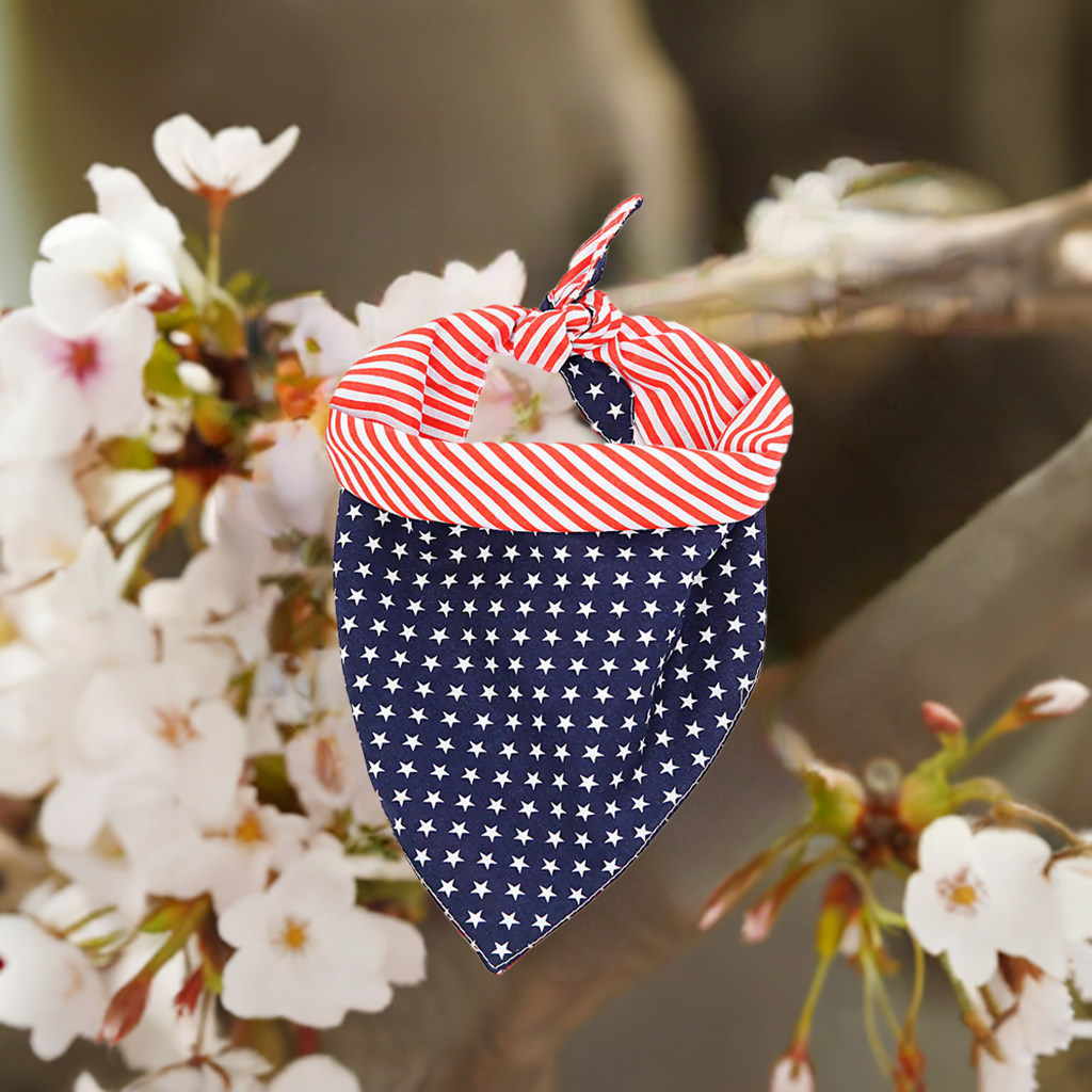 Triangle Scarf Headband Jewelry for Pets - Johns Pet Store