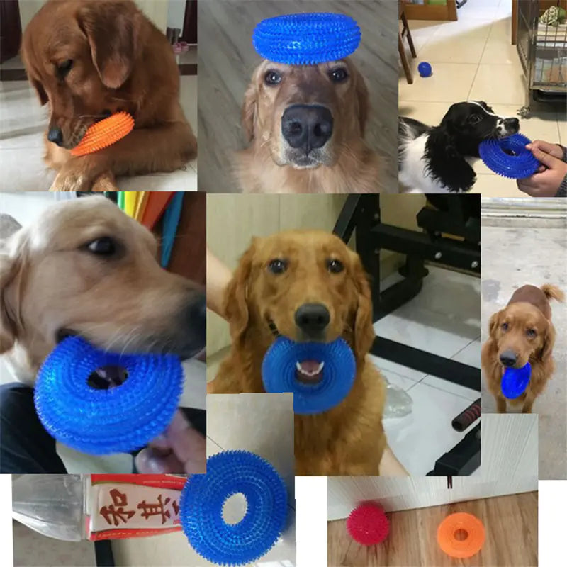 Interactive Bite-Resistant Dog Chew Toys for Training - Johns Pet Store