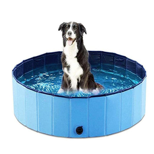 Pet Pool Dog Swimming Pool - Johns Pet Store 