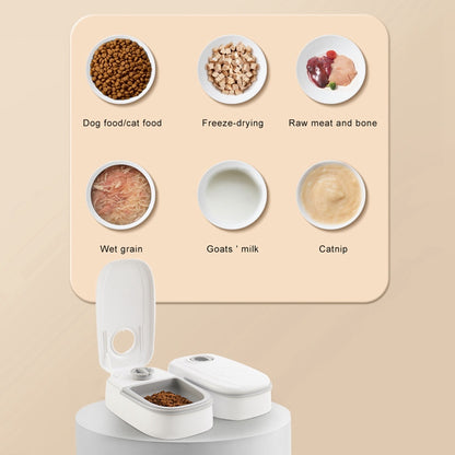 Automatic Pet Feeder For Cats Dogs - Johns Pet Store 
