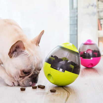 Pets IQ Treat Toys - Johns Pet Store 