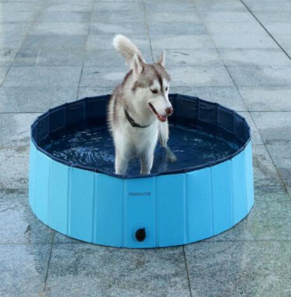 Pet Pool Dog Swimming Pool - Johns Pet Store 