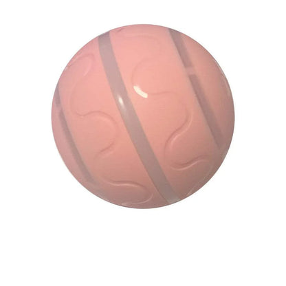 Pet New Wicked Ball Toy - Johns Pet Store 