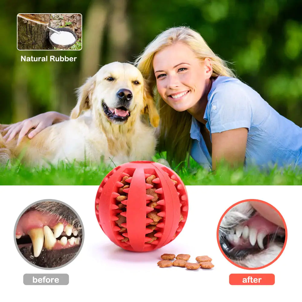 Interactive Pets Rubber Balls - Johns Pet Store 