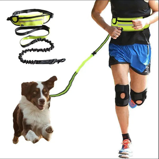 Hands free dog leash with adjustable waist belt, shock absorbing bungee leash, phone pocket, and water bottle holder for running or walking large dogs up to 180lbs