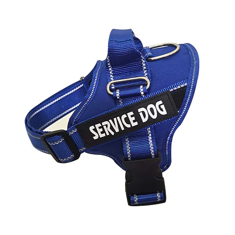 Personalized Pet Chest Strap Products - Johns Pet Store 