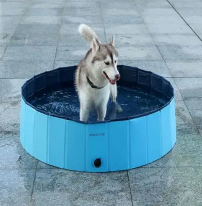 Pet Pool Dog Swimming Pool - Johns Pet Store 