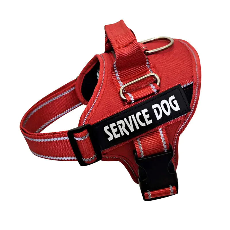 Personalized Pet Chest Strap Products - Johns Pet Store 