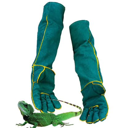 Reptile Resistant Protective Gloves for Pets - Johns Pet Store 