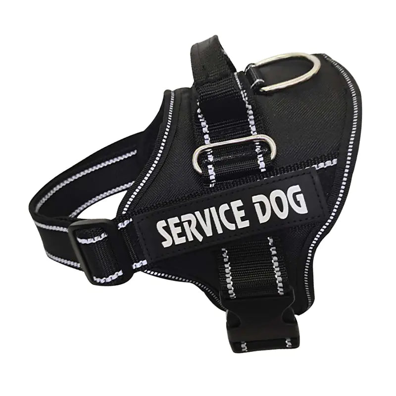 Personalized Pet Chest Strap Products - Johns Pet Store 
