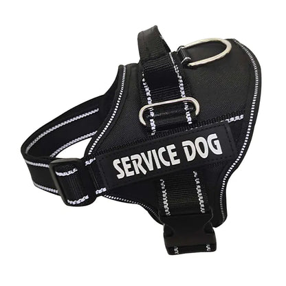 Personalized Pet Chest Strap Products - Johns Pet Store 