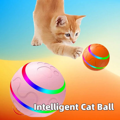 Pet New Wicked Ball Toy - Johns Pet Store 