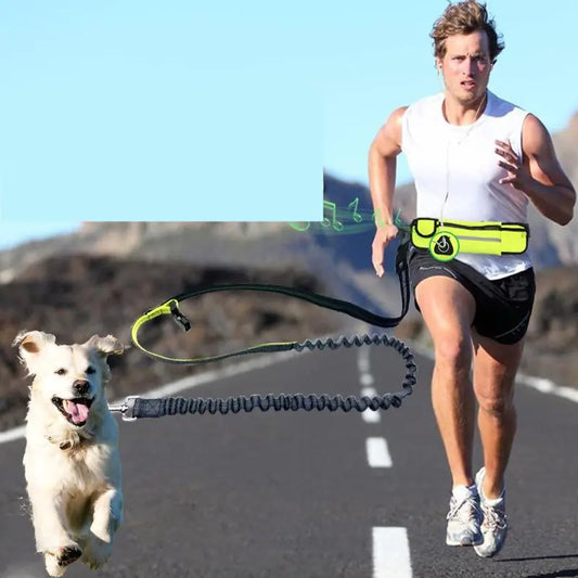 Waterproof Waist Bag with Leash