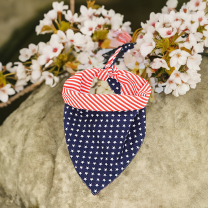 Triangle Scarf Headband Jewelry for Pets - Johns Pet Store 