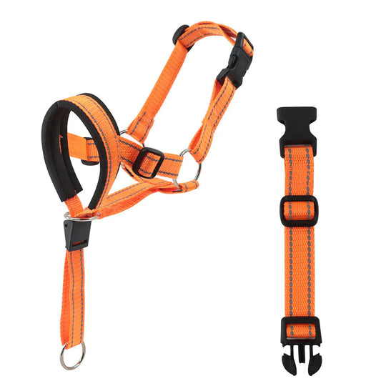 Anti-Barking Nylon Muzzle for Pets - Johns Pet Store 