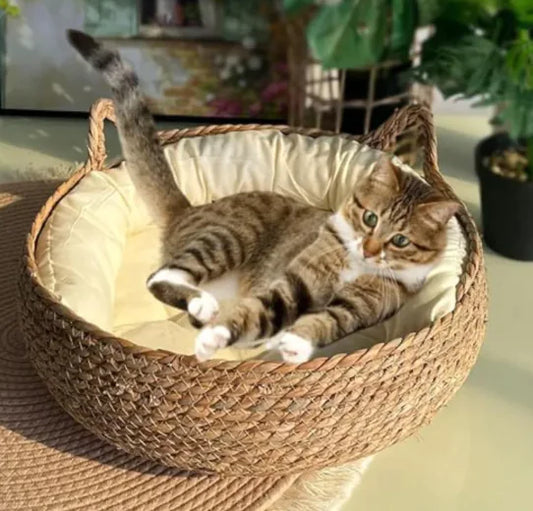 Handmade Pet House comfort basket - Johns Pet Store 