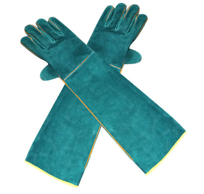 Reptile Resistant Protective Gloves for Pets - Johns Pet Store 