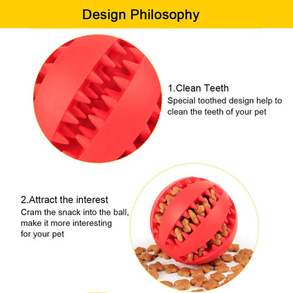 Interactive Pets Rubber Balls - Johns Pet Store 